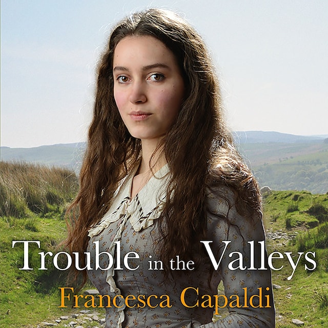 Book cover for Trouble in the Valleys