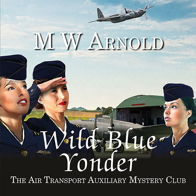 Boekomslag van Wild Blue Yonder