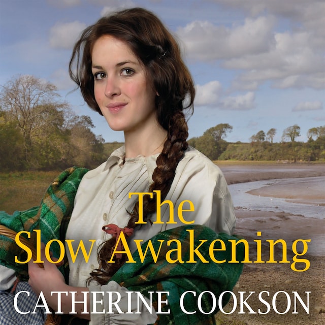 Book cover for The Slow Awakening