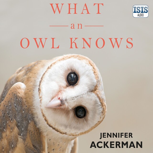 Buchcover für What an Owl Knows