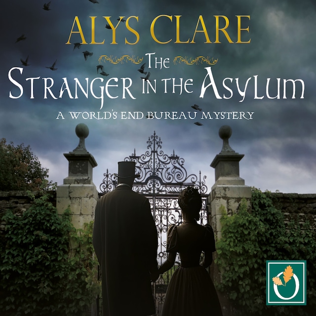Book cover for The Stranger in the Asylum