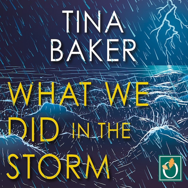 Copertina del libro per What We Did in the Storm