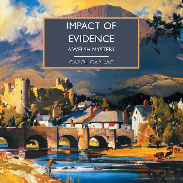 Buchcover für Impact of Evidence
