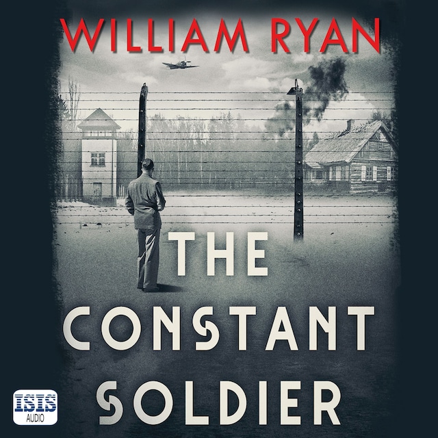 Book cover for The Constant Soldier