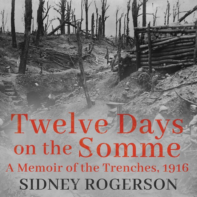 Book cover for Twelve Days on the Somme