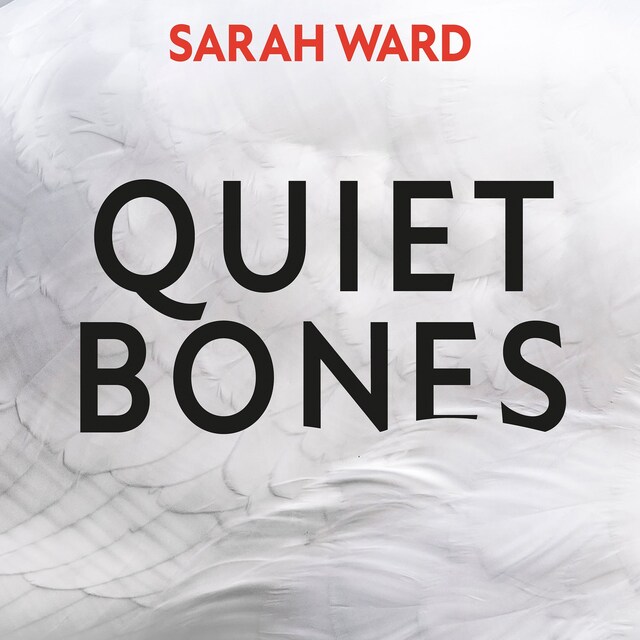 Book cover for Quiet Bones