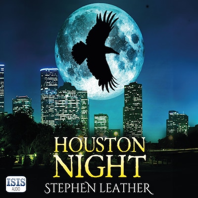 Houston Night