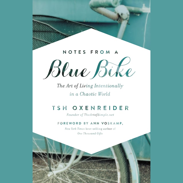 Book cover for Notes from a Blue Bike