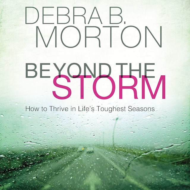 Copertina del libro per Beyond the Storm