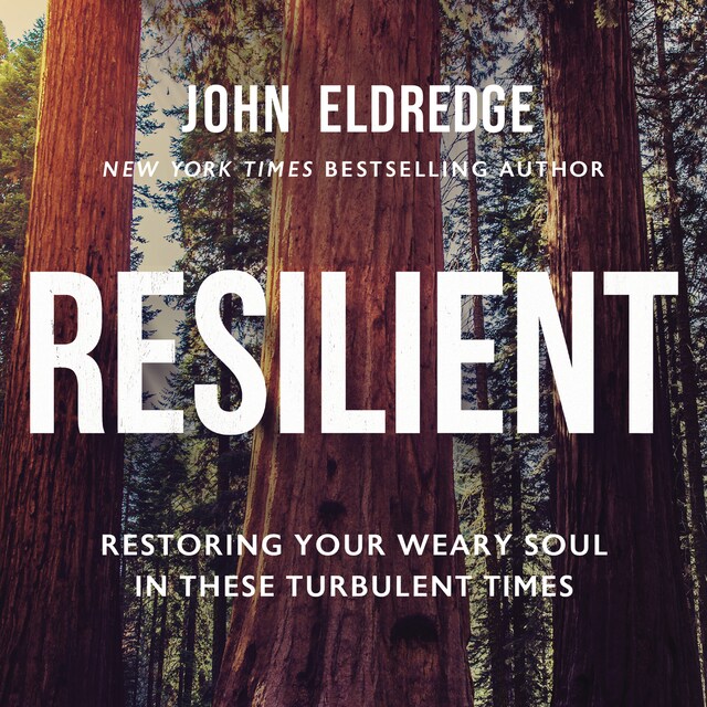 Book cover for Resilient