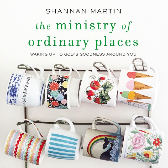Book cover for The Ministry of Ordinary Places