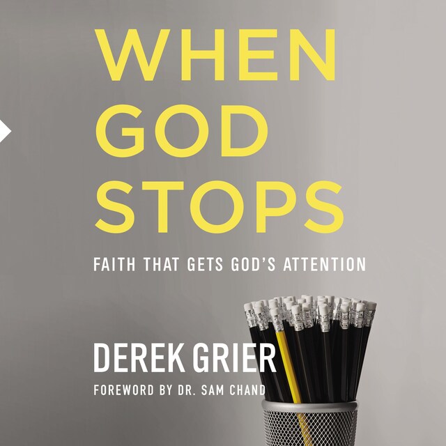 Book cover for When God Stops