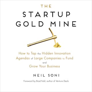 The Startup Gold Mine bookCoverFor