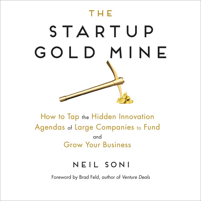 Boekomslag van The Startup Gold Mine