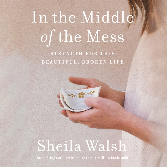Couverture de livre pour In the Middle of the Mess
