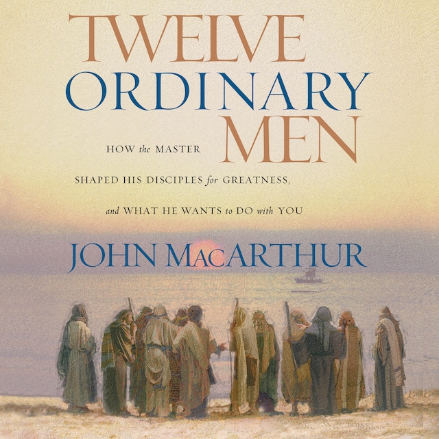 Buchcover für Twelve Ordinary Men