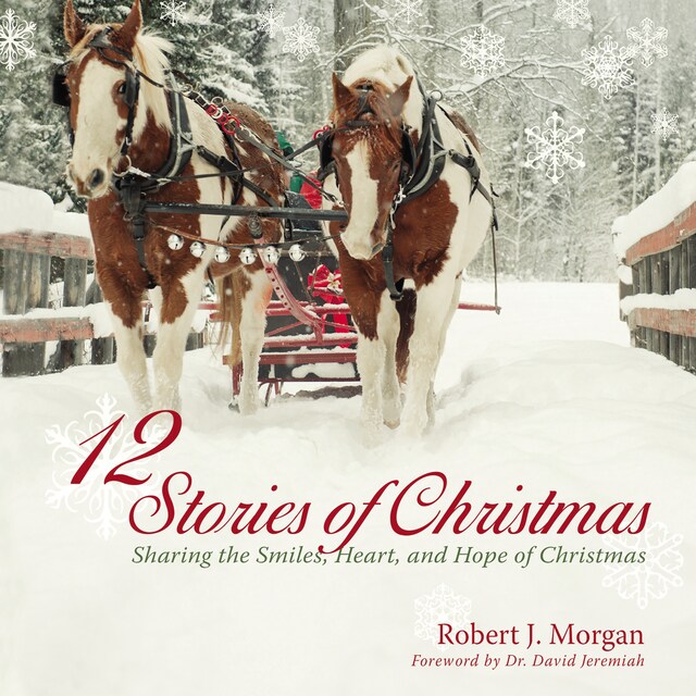 Book cover for 12 Stories of Christmas