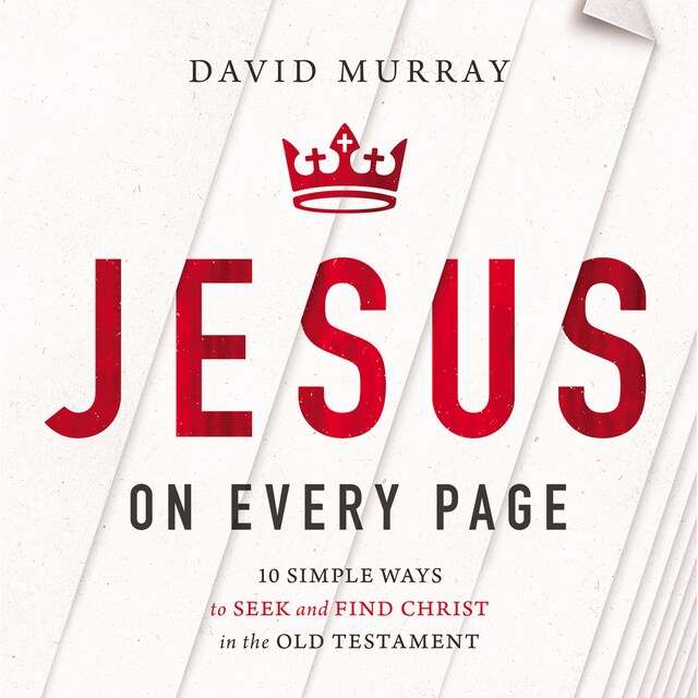 Book cover for Jesus on Every Page