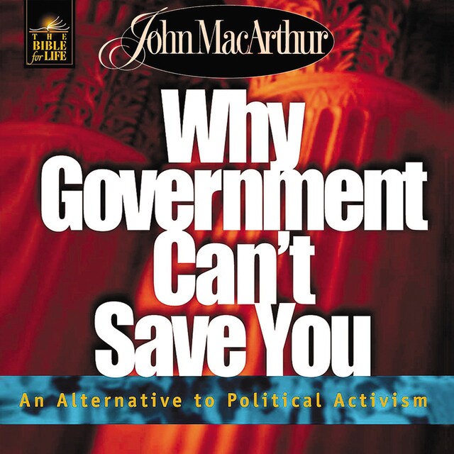 Book cover for Why Government Can't Save You
