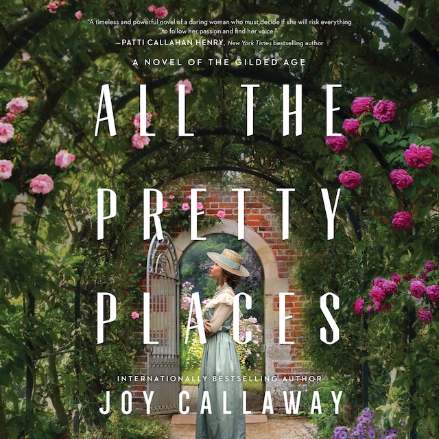 Book cover for All the Pretty Places