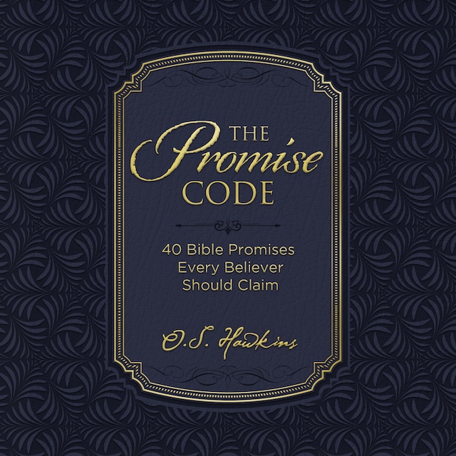 Book cover for The Promise Code