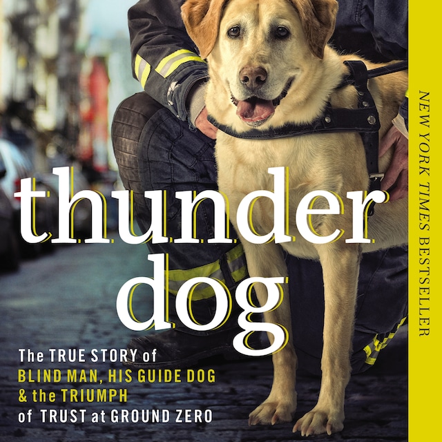 Book cover for Thunder Dog