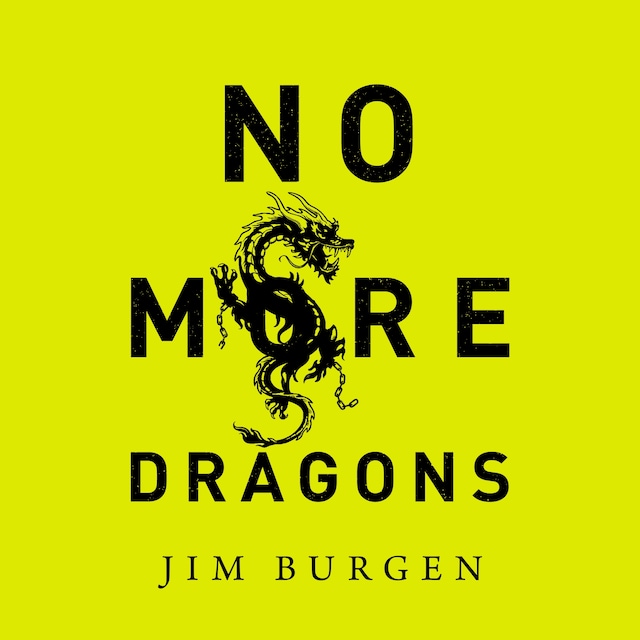 Book cover for No More Dragons