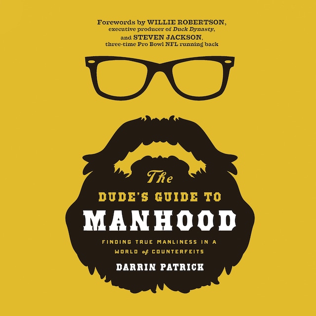 Book cover for The Dude's Guide to Manhood