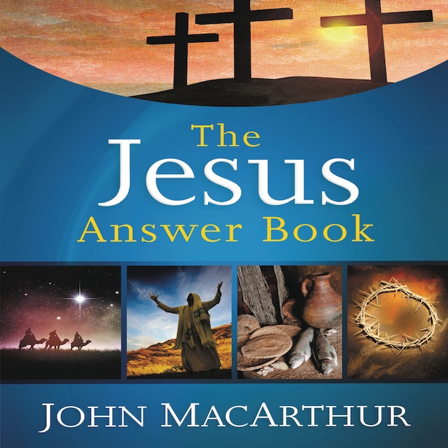 Okładka książki dla The Jesus Answer Book
