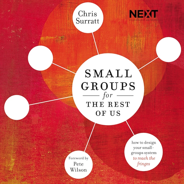 Book cover for Small Groups for the Rest of Us