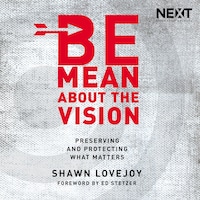 Be Mean About the Vision