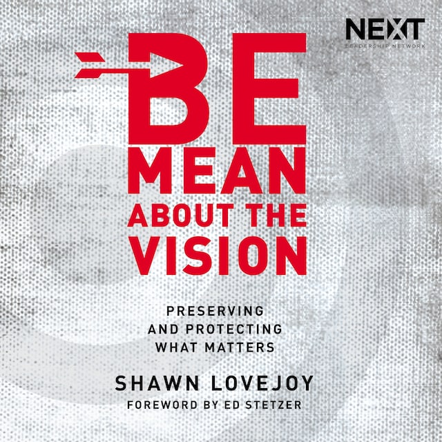 Book cover for Be Mean About the Vision