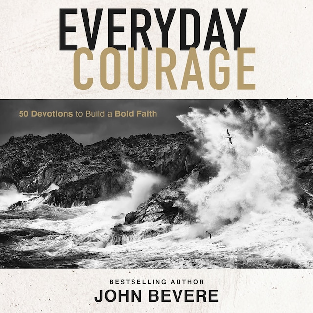 Book cover for Everyday Courage