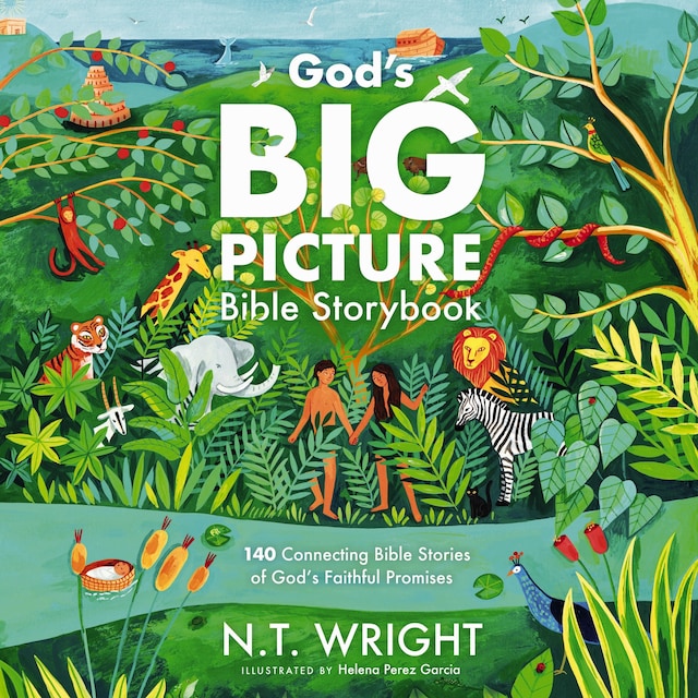 God's Big Picture Bible Storybook