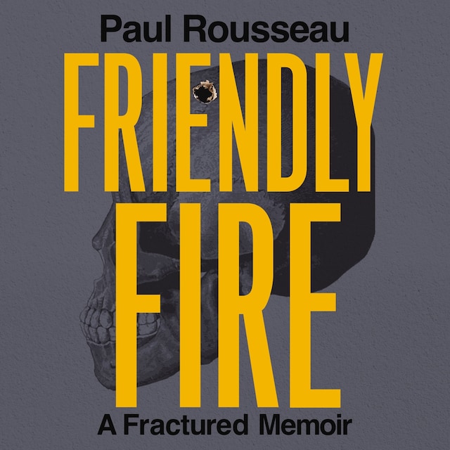 Book cover for Friendly Fire