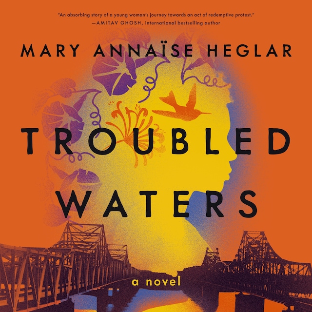 Buchcover für Troubled Waters