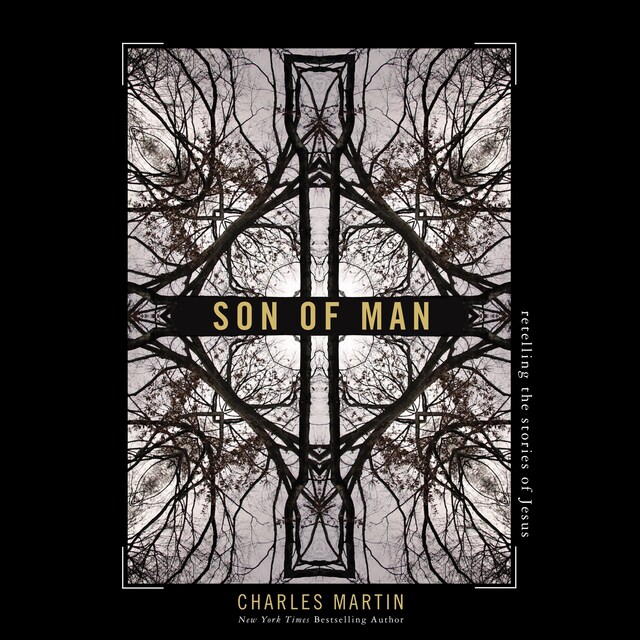 Book cover for Son of Man