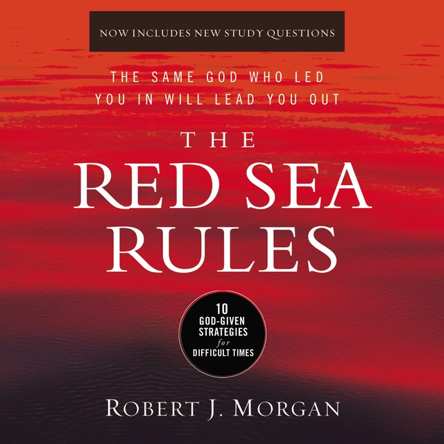 Buchcover für The Red Sea Rules