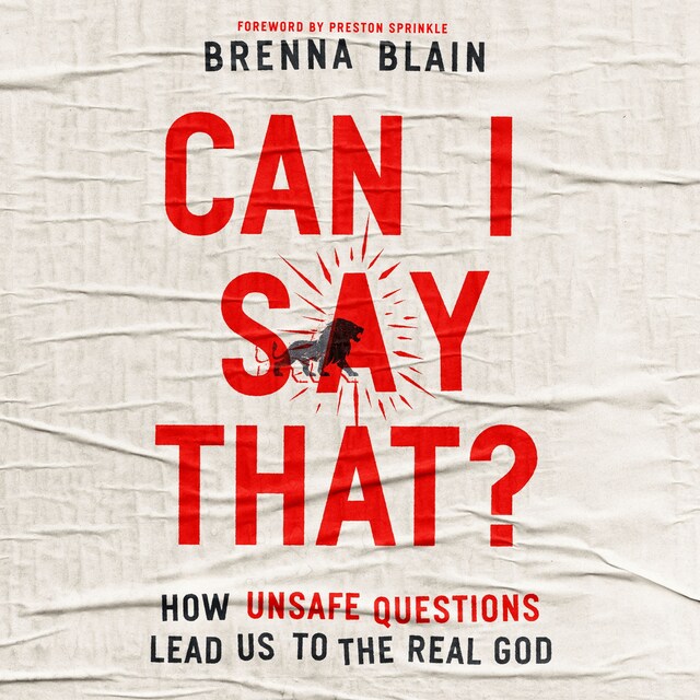 Book cover for Can I Say That?