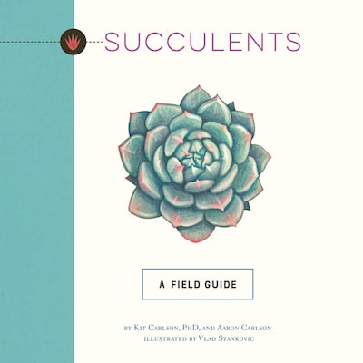 Succulents