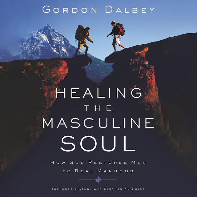 Book cover for Healing the Masculine Soul