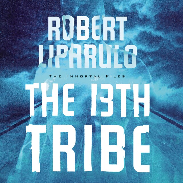 Copertina del libro per The 13th Tribe