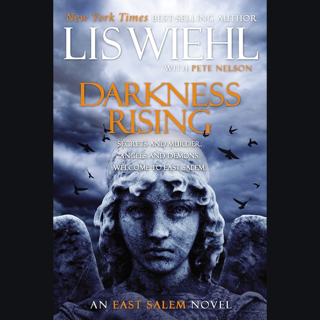 Kirjankansi teokselle Darkness Rising