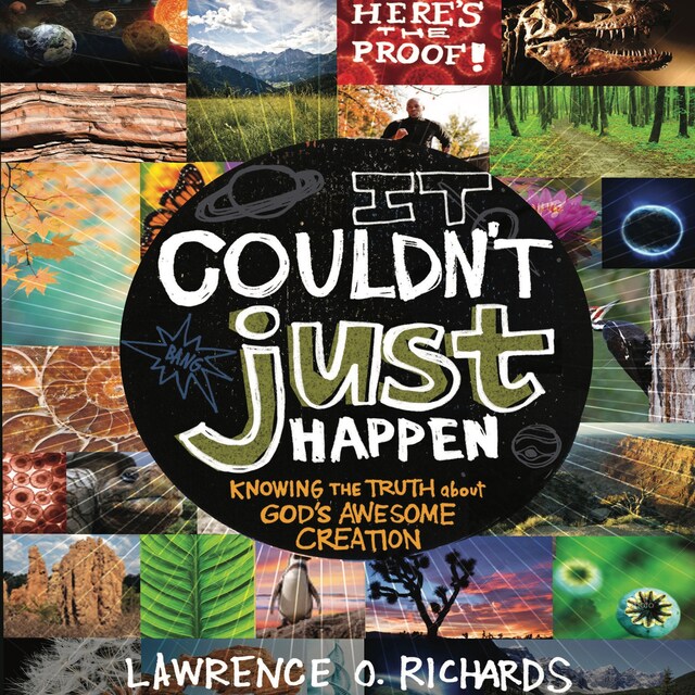 Portada de libro para It Couldn't Just Happen