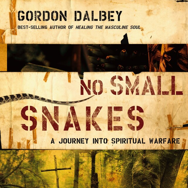 Copertina del libro per No Small Snakes