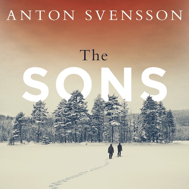 Book cover for The Sons