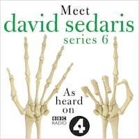 Meet David Sedaris: Series Six