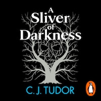 A Sliver of Darkness