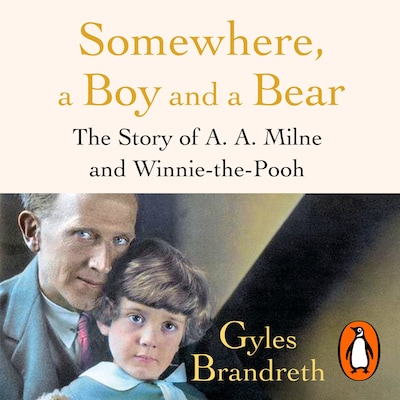 Somewhere, a Boy and a Bear
