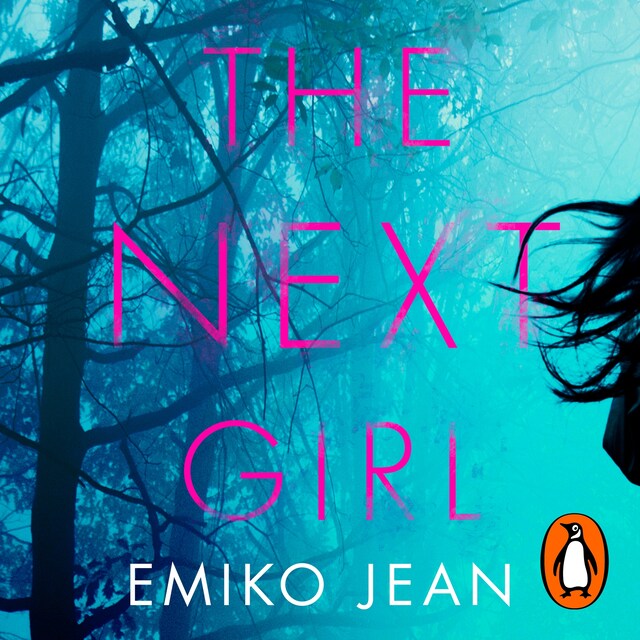 Book cover for The Next Girl